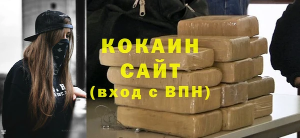 шишки Нея